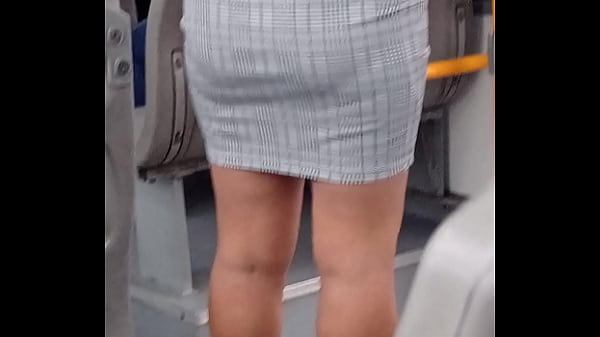 Asses in bus